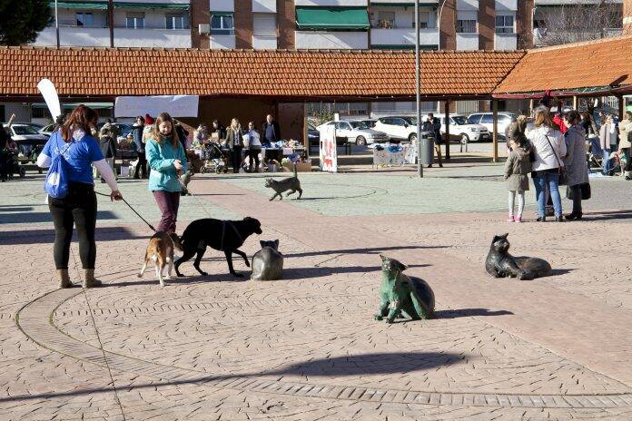 Leganés participa en un estudio sobre el COVID-19 en animales domésticos
