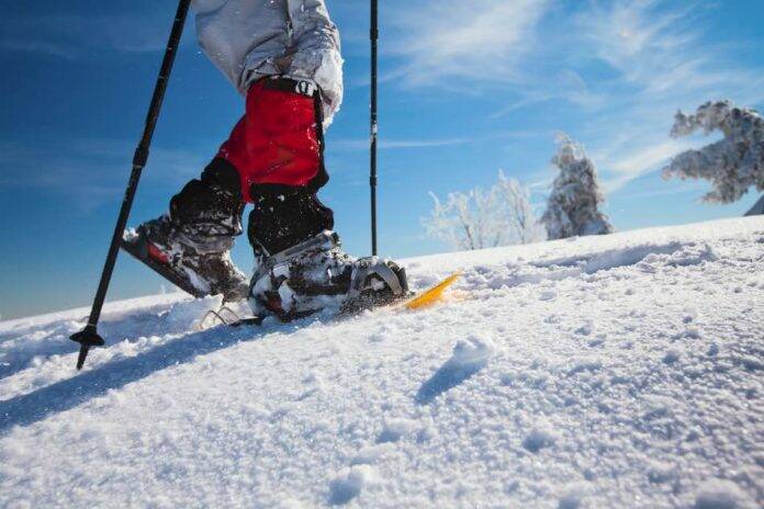 raquetas-de-nieve