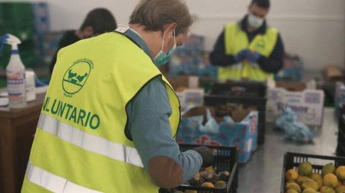 Bancos alimentos gran recogida