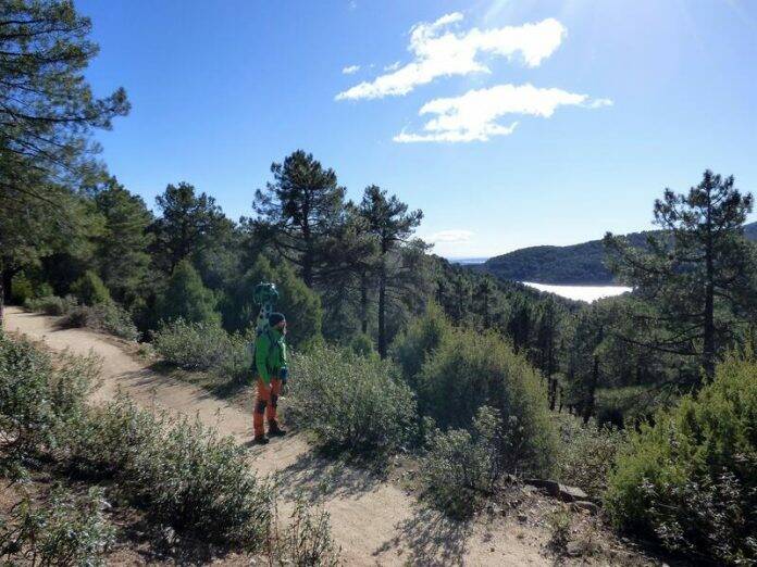 Autorizada recogida setas Parque Nacional de la Sierra de Guadarrama