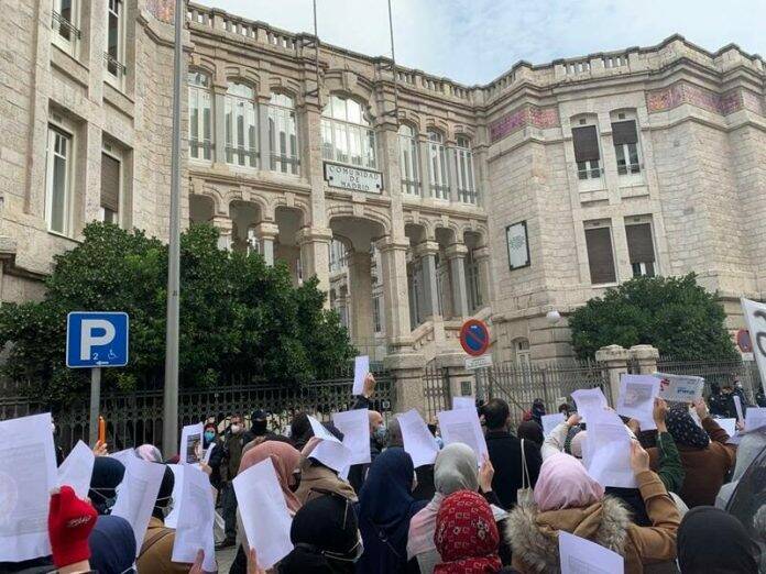 cañada real vecinos luz