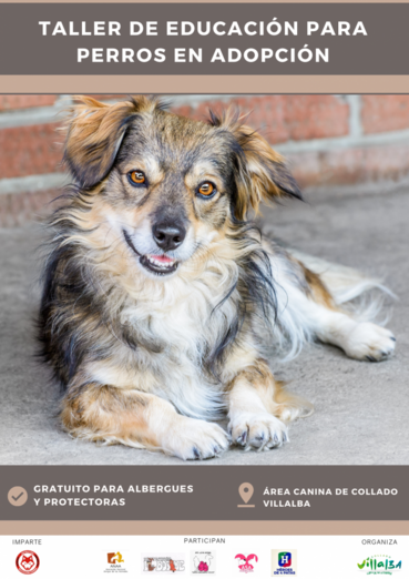 Educación canina para promover la adopción cartel educacion canina
