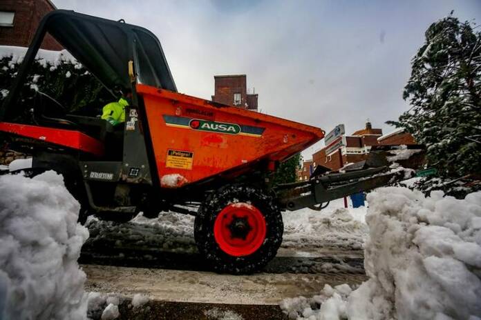 Los agricultores madrileños pierden 570.000 kilos en los olivares por la nevada