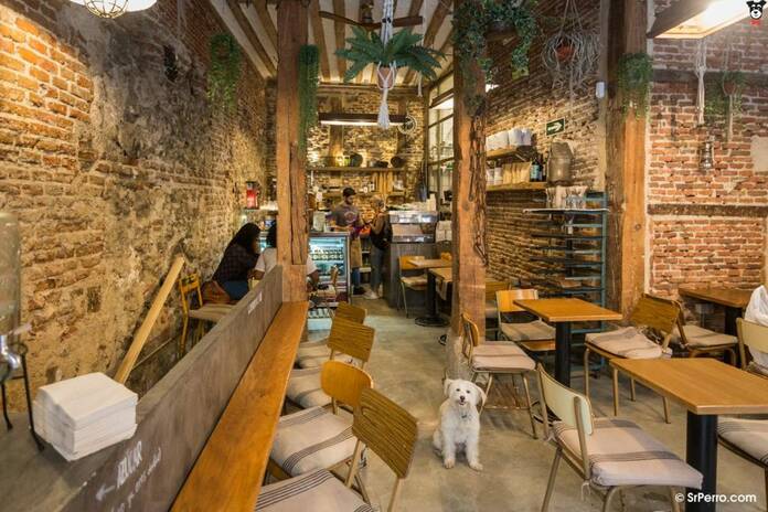 Un recorrido por las cafeterías más bonitas y acogedoras de Madrid 6 Pum Pum Café