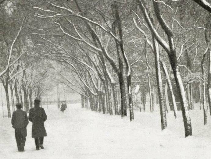 La nieve y Madrid: una historia de amor la gran nevada de madrid de noviembre de 1904 295421 3 768