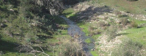 "No te comes una rosca" y otros dichos madrileños unnamed 4