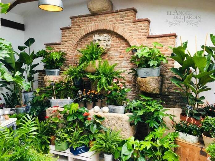 Descubre las floristerías más variopintas de Madrid 145323165 223146906191405 2959626281279037976 o