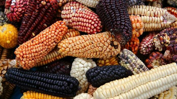 La Casa Encendida: programación de encuentros y exposiciones