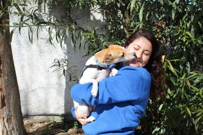 Fuenlabrada violencia