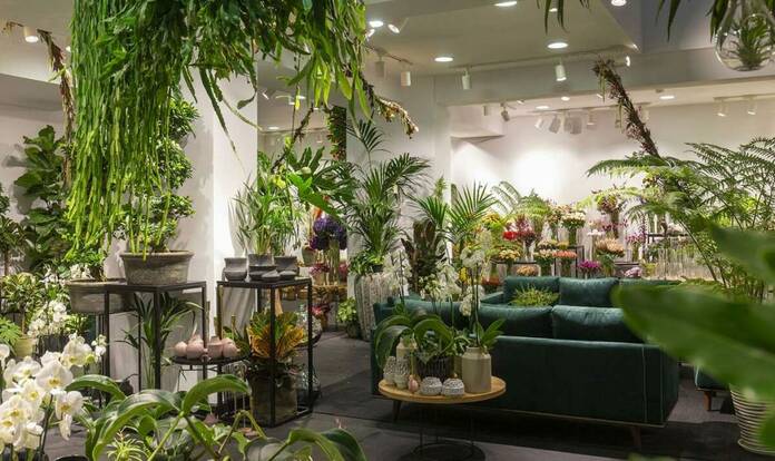 Descubre las floristerías más variopintas de Madrid floristeria columelas madrid 2