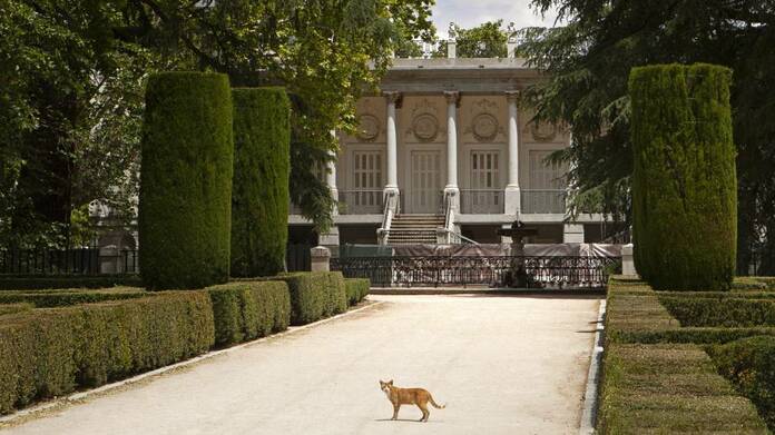 El secretos del 'Capricho' de la Duquesa de Osuna 1578934965 506195 1579011649 noticia normal