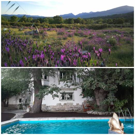 Descubre las casas rurales con más encanto de la sierra de Madrid