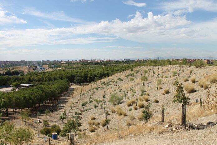 bosque metropolitano