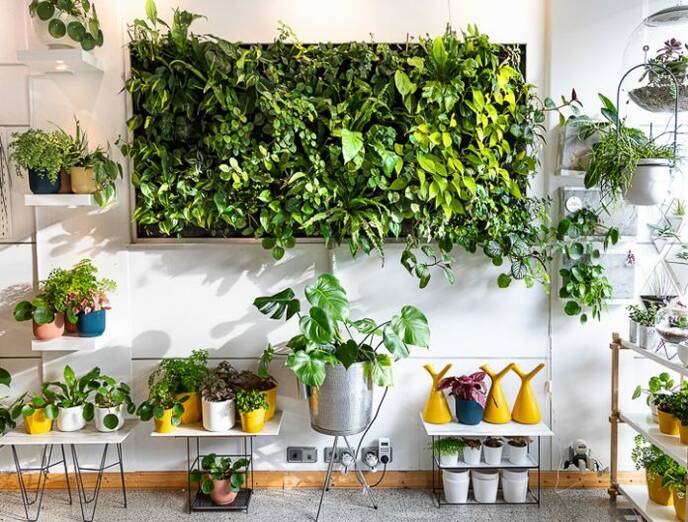 Portada Jardín Vertical