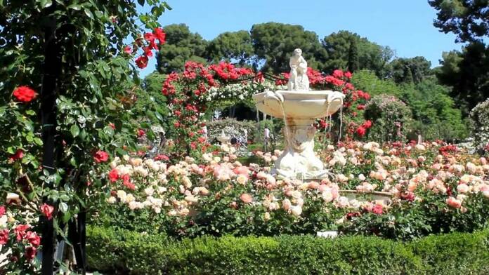 Las rosaledas de Madrid: el 'país de maravillas' en plena capital - 27 mayo, 2021 05:05