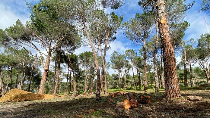 prevención de incendios