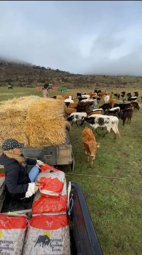 Así trabajan los jóvenes agricultores y ganaderos madrileños Quintas