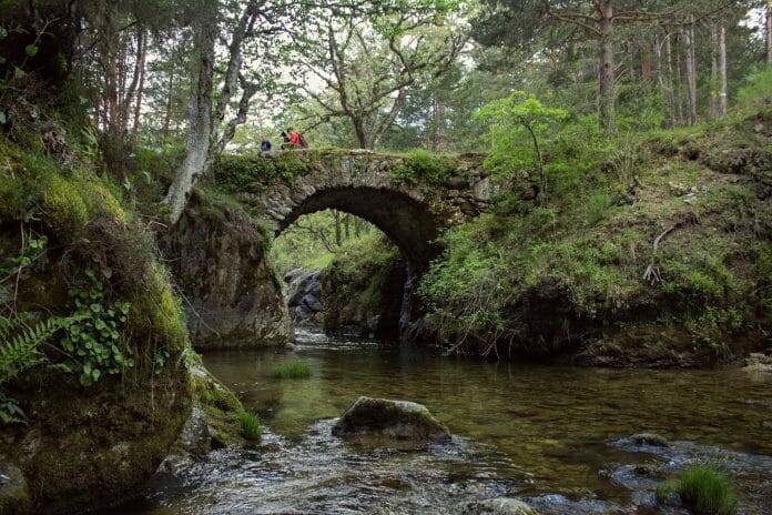 Portada Valle Angostura