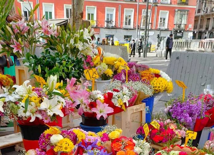 La flor que llevó la revolución a la plaza Tirso de - 19 agosto, 2021 05:05