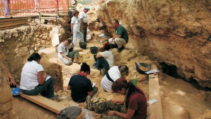 El Valle de los Neandertales: donde los primeros "madrileños" convivían con rinocerontes neandertales valle