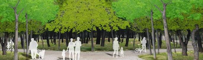 El norte de Madrid tendrá su Casa de Campo: más de mil hectáreas verdes en Fuencarral-El Pardo 3 Bosque 685x204 1