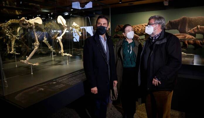 El Museo Arqueológico inaugura un nuevo espacio con fósiles de hace 23 millones de años stmnve4dqybeb3fyo20211223112317 1