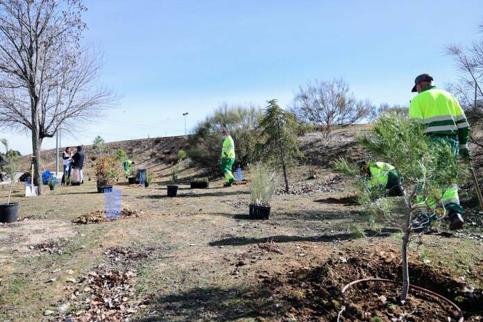 Arroyomolinos apuesta por incrementar sus zonas verdes con la plantación de  7.500 nuevos árboles - 15 febrero, 2022 17:10