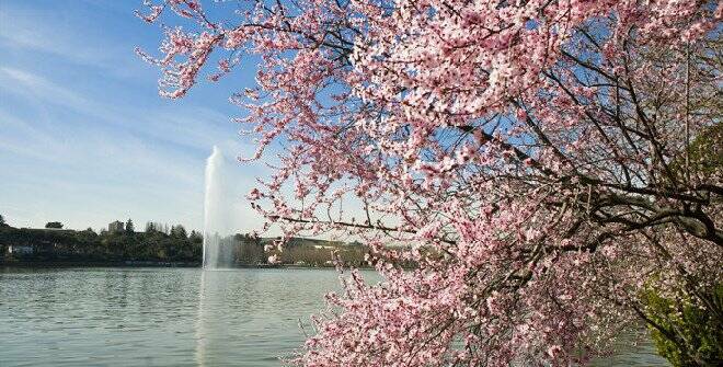 La Casa de Campo, el pulmón verde más grande de Madrid donde disfrutar del buen tiempo 1935098181 18122009141729 adj