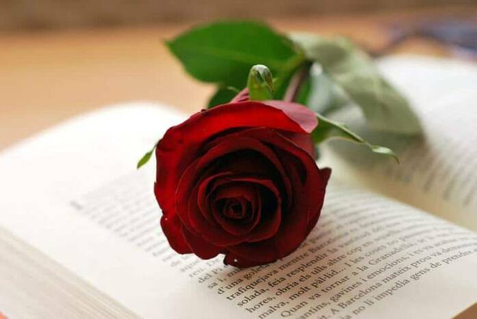 Día del libro: el motivo que hay detrás de su celebración sant jordi 1