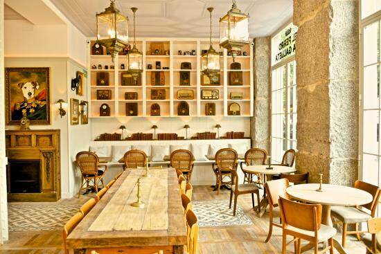 Si eres un enamorado de los gatos, no puedes perderte estos sitios en Madrid perro y galleta