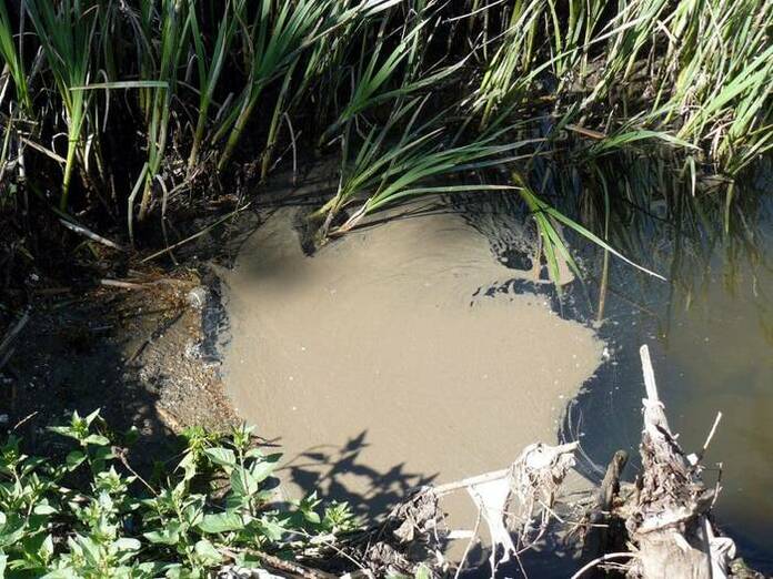 Contaminación de Ciudalcampo al río Guadalix.