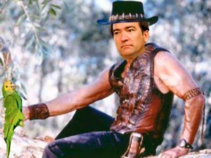 carabante dundee medio ambiente madrid cotorras