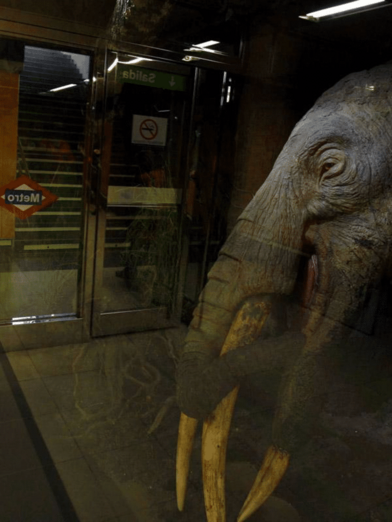 Las paradas de metro más curiosas de Madrid image 51