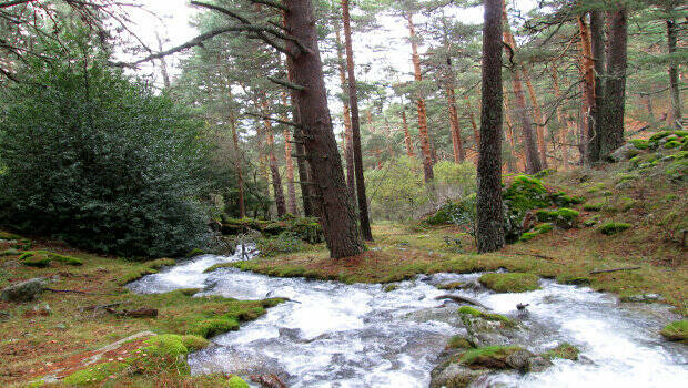 Las 5 rutas que no te puedes perder en esta primavera sestil maillo1