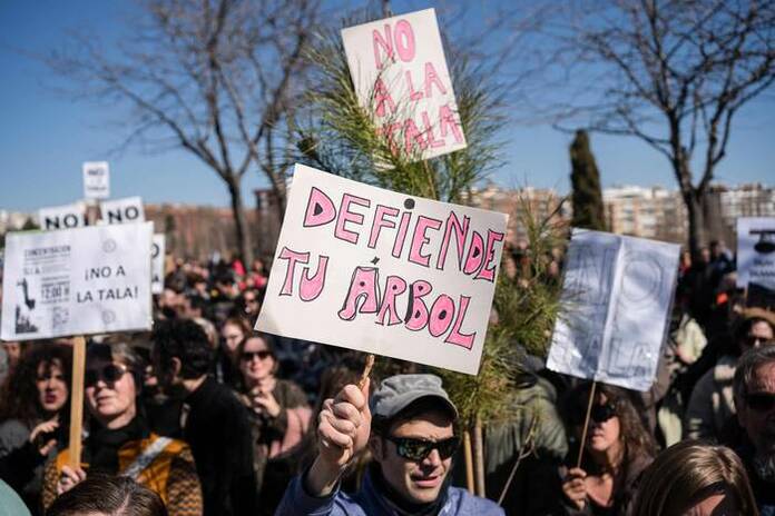 La tala de árboles en Madrid Río se paraliza, pero solo hasta las ...