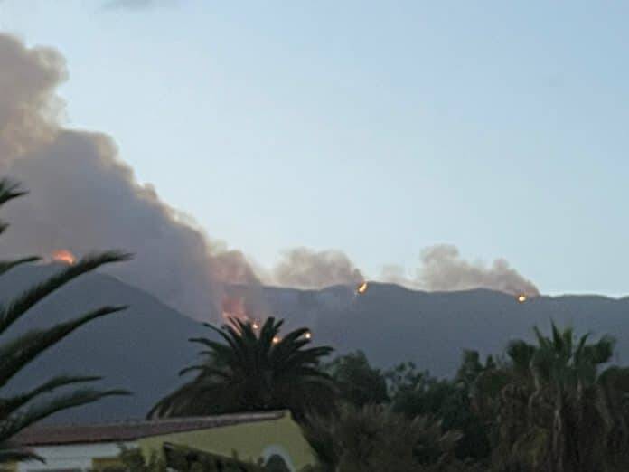 Tenerife incendio Ayuso