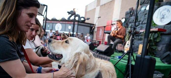 CANDESTINO, el concierto que deja huella candestino2
