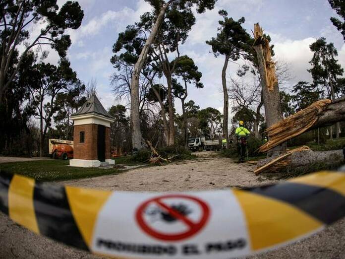 El Retiro y otros 8 parques cerrados por alerta naranja 1 Parque El Retiro