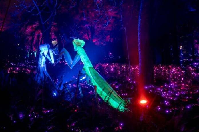 Naturaleza encendida