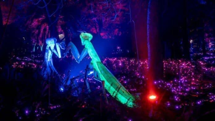 Naturaleza Encendida vuelve a Madrid bajo el lema ‘insectos’