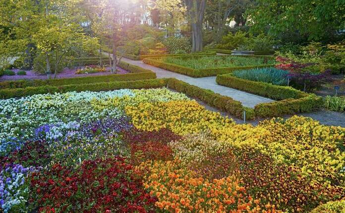 Real Jardín Botánico de Madrid: conoce un refugio floral en el epicentro urbano 3 INTEGRACIÓN URBANÍSTICA Y NATURAL