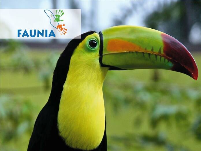 Faunia de Madrid: un mosaico de biodiversidad en la capital 1 ECOSISTEMAS REPRESENTADOS